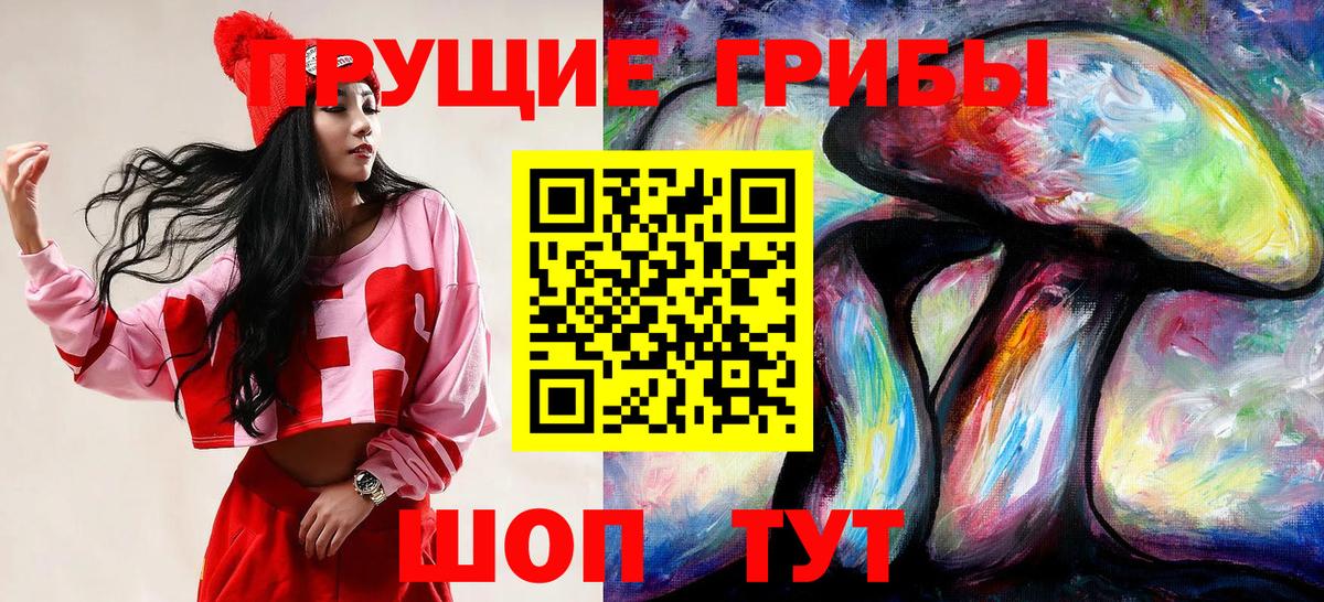 Псилоцибиновые грибы Psilocybe  Галлюциногенные грибы Psilocybe  Вход с VPN  Зеленогорск 